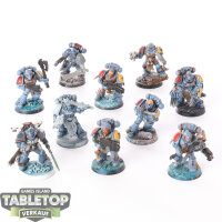 Space Wolves - 10  Tactical Squad - teilweise bemalt