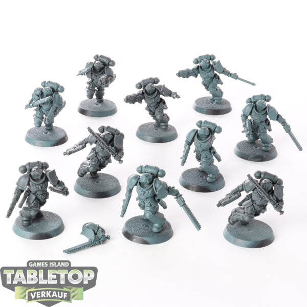 Space Marines - 10 x Assault Intercessors - teilweise bemalt