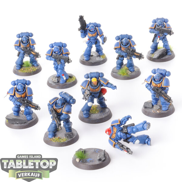 Space Marines - 10 x Primaris Intercessors - bemalt