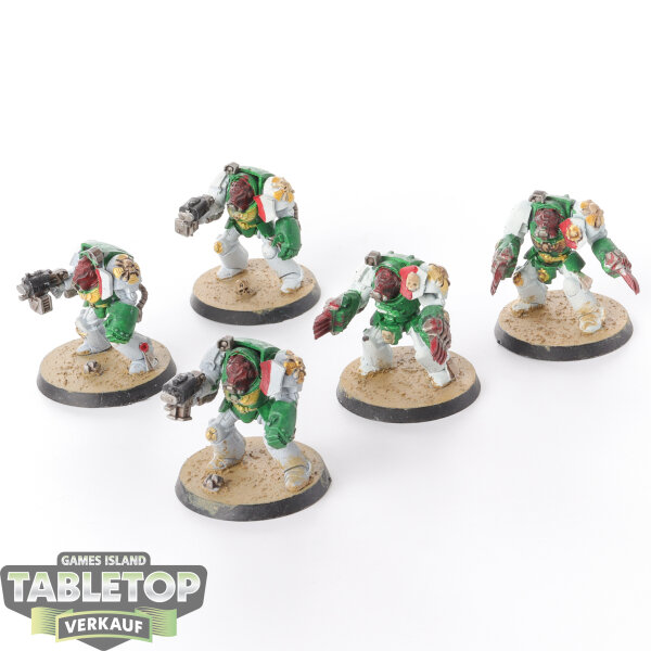 Space Marines - 5 - Terminators - bemalt