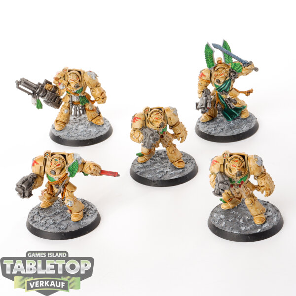 Dark Angels - 5 x Deathwing Terminator Squad klassisch - bemalt