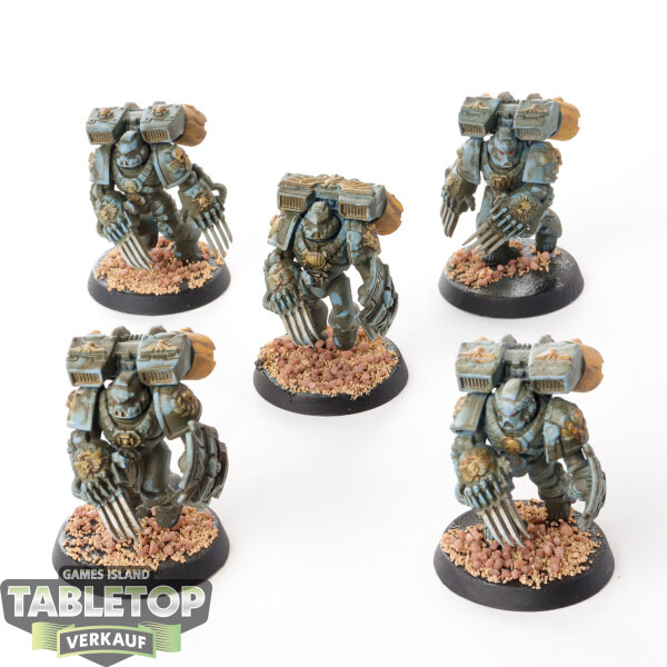 Space Marines - 5 x Vanguard Veteran Squad - bemalt