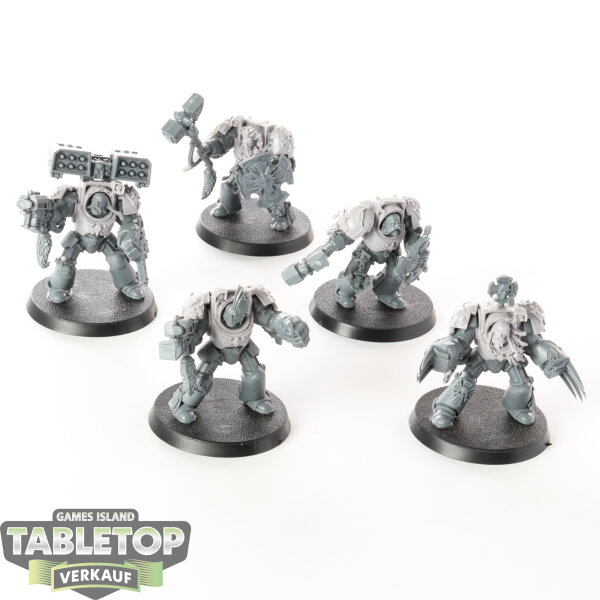 Space Wolves - 5 x Wolf Guard Terminators klassisch - unbemalt