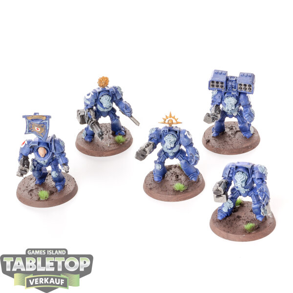 Ultramarines - 5 x Terminator Squad  - bemalt