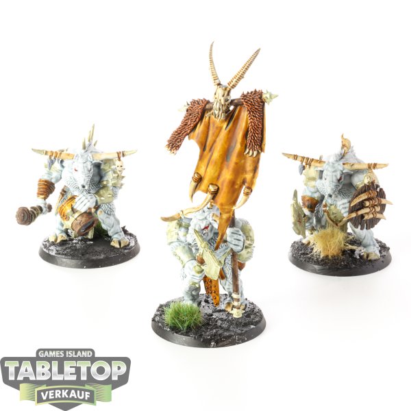 Beasts of Chaos - 3 Bullgors - bemalt