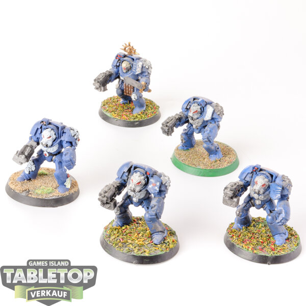 Space Marines - 5 Terminators klassisch - bemalt