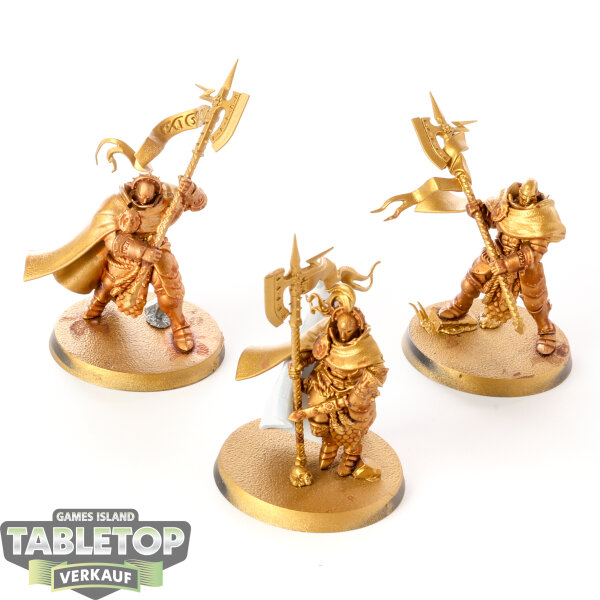 Stormcast Eternals - 3 Praetors - teilweise bemalt