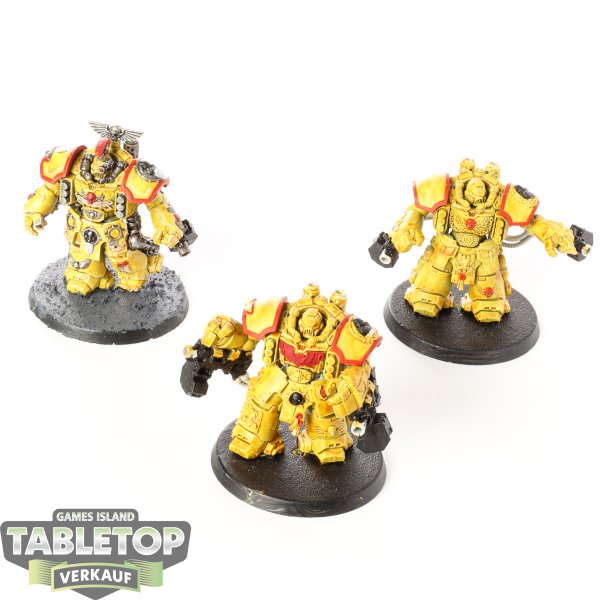 Imperial Fists - 3 - Centurion Devastator Squad - bemalt