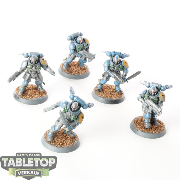 Space Wolves - 5 Primaris Reivers - bemalt