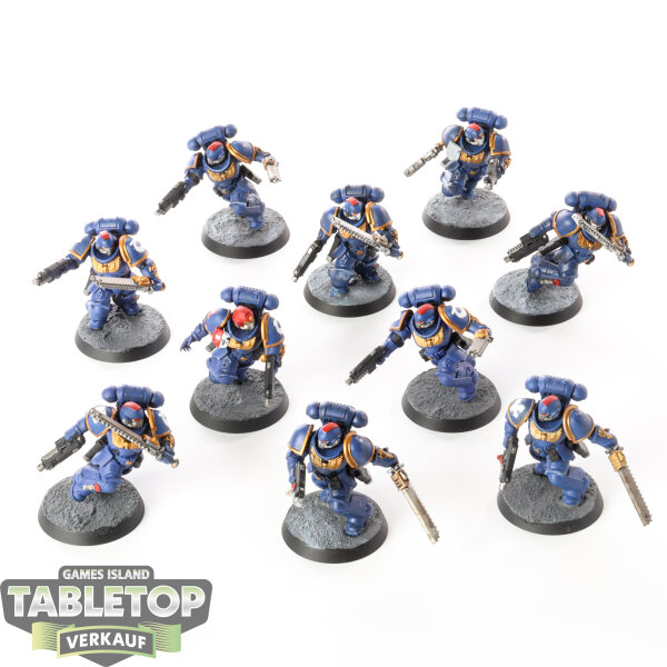 Space Marines - 10 x Assault Intercessors - bemalt