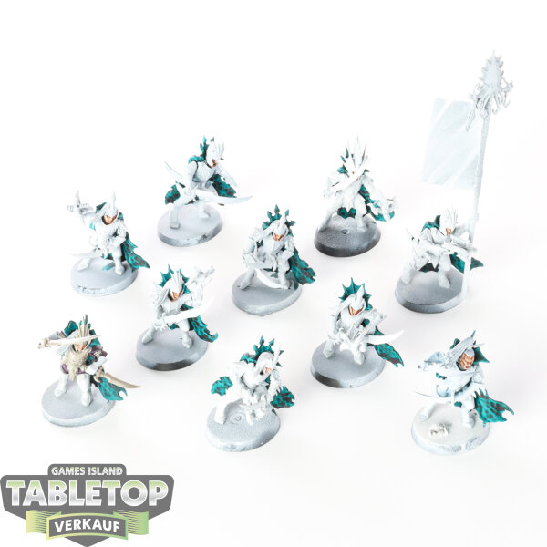 Cities of Sigmar - 10 x Black Ark Corsairs - teilweise bemalt