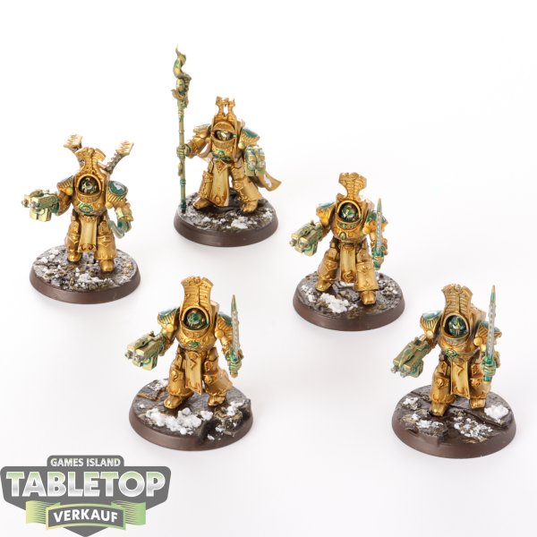Thousand Sons - 4 Scarab Occult Terminators 1 Scarab Occult Sorcerer - bemalt