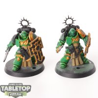 Space Marines - 2 x Bladeguard Veterans - teilweise bemalt