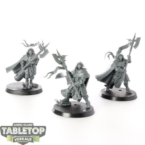 Stormcast Eternals - 3 x Praetors - unbemalt