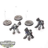 Space Marines - 3 - Primaris Inceptors - bemalt