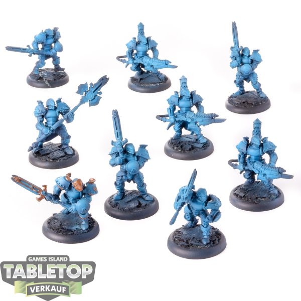 Cygnar - 9 x Stormblade Infantry & Storm Gunners - teilweise bemalt