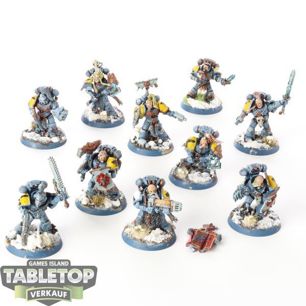 Space Wolves - 10 Grey Hunters - bemalt