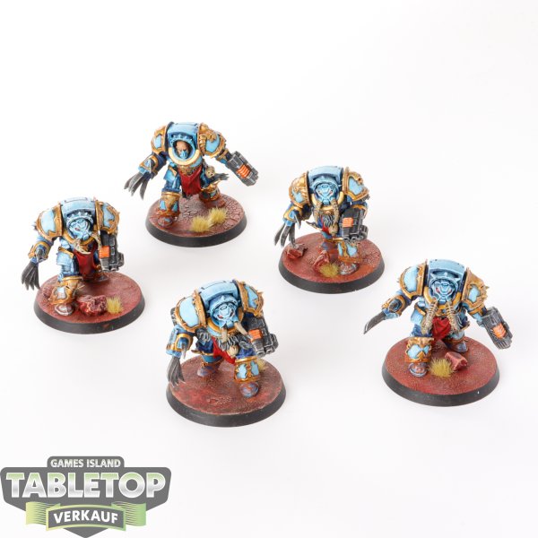 Chaos Space Marines - 5 Chaos Terminator - bemalt