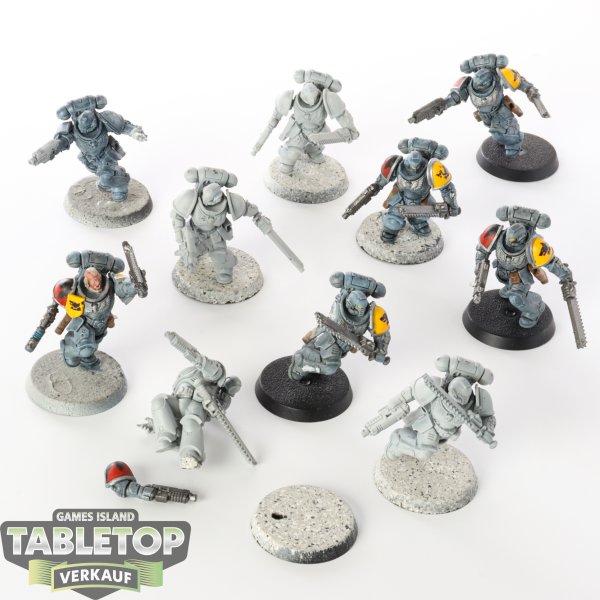 Space Wolves - 10 x Assault Intercessors - teilweise bemalt