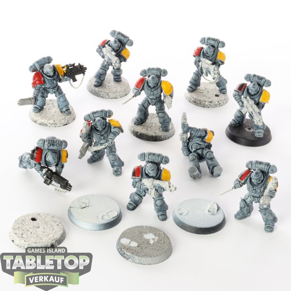 Space Wolves - 10 x Primaris Intercessors - teilweise bemalt