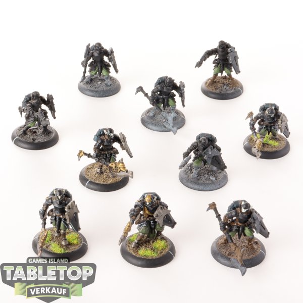 Retribution of Scyrah - Houseguard Halberdiers - bemalt