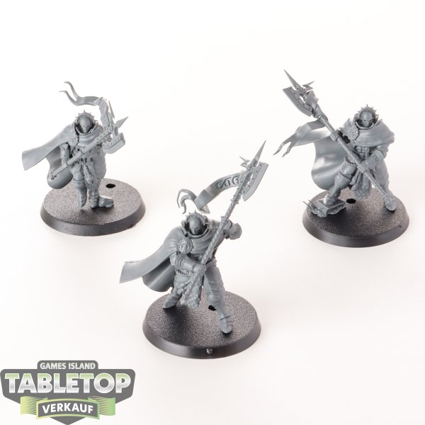 Stormcast Eternals - 3 x Praetors - unbemalt