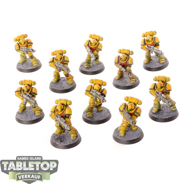 Imperial Fists - 10 - Primaris Intercessors - bemalt