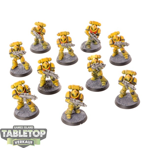 Imperial Fists - 10 - Primaris Intercessors - bemalt