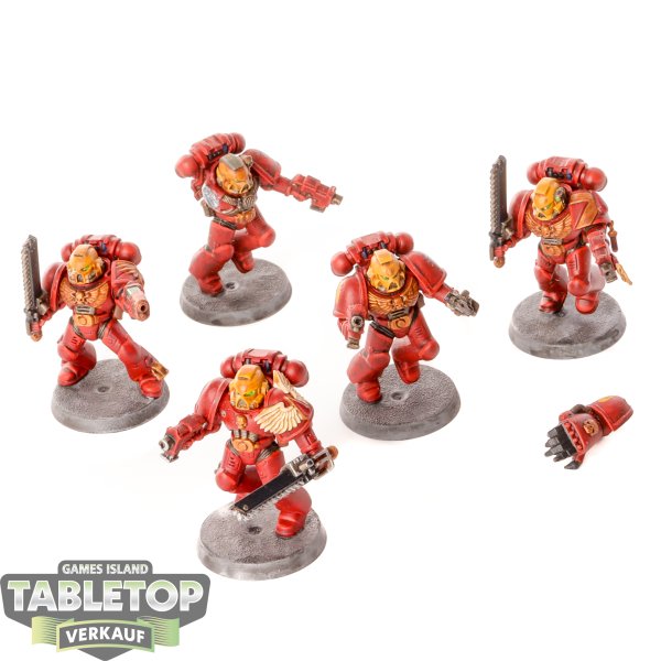 Blood Angels - 5 x Assault Squad klassisch - bemalt