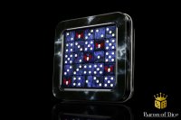 Baron of Dice - Lords of the Night 12mm Mini Square...