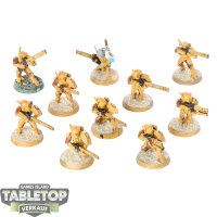 Tau Empire - 10 x Fire Warriors klassisch - teilweise bemalt