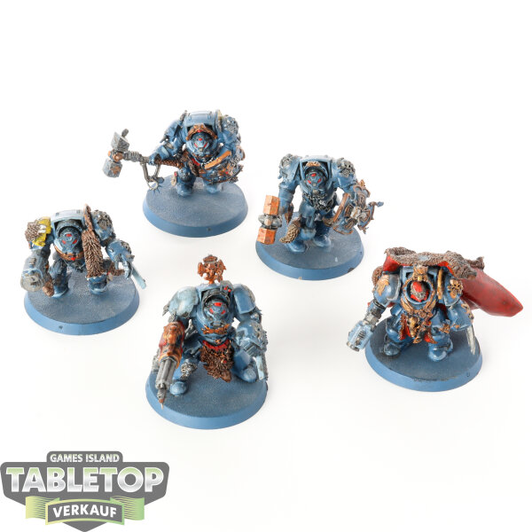 Space Wolves - Wolf Guard Terminators - bemalt