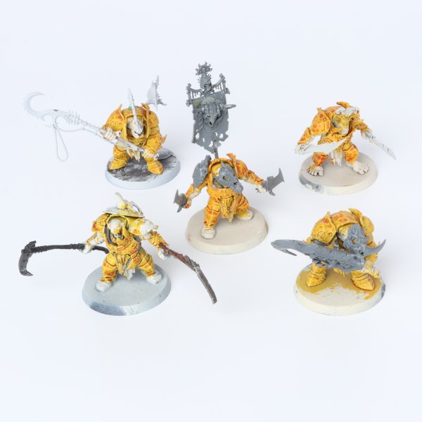 Orruk Warclans - 5 x Brutes - teilweise bemalt