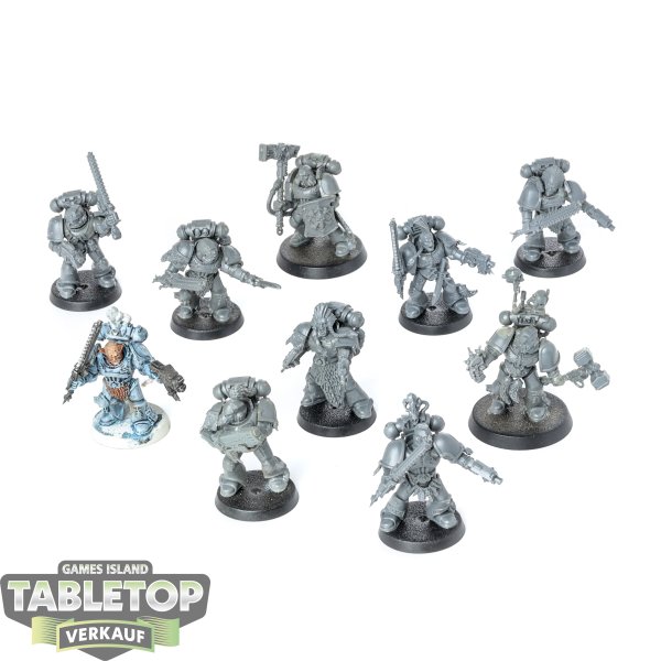 Space Wolves - 10 - Grey Hunters - unbemalt