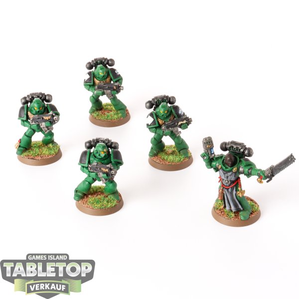 Salamanders - 5 x Tactical Squad klassisch - bemalt