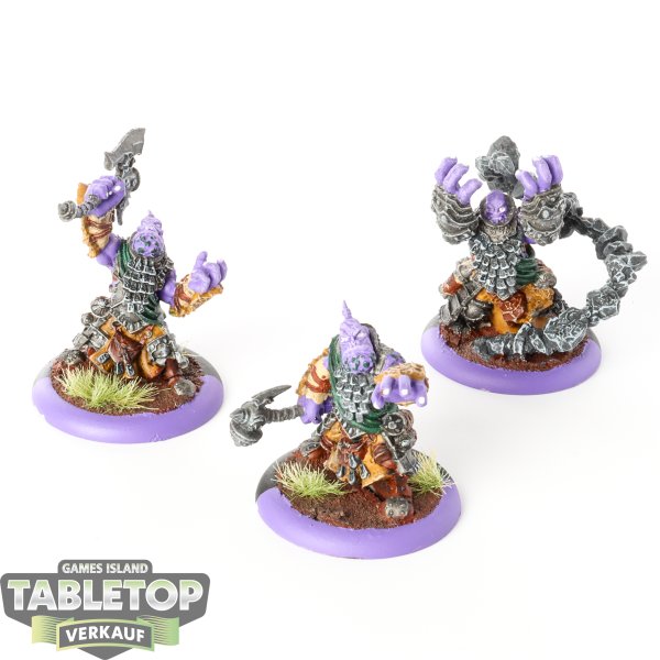 Hordes - Trollkin Runeshapers - bemalt