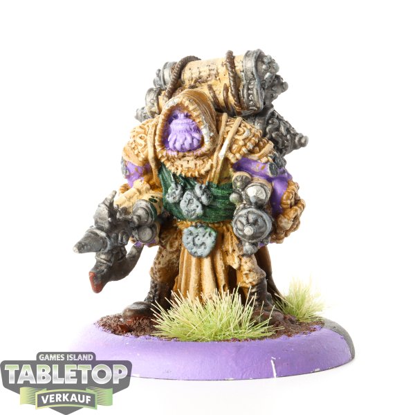 Hordes - Stone Scribe Elder - bemalt