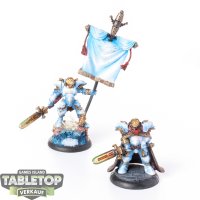 Cygnar - Stormblade Infantry Officer & Standard - bemalt