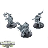 Stormcast Eternals - 3 - Praetors - unbemalt