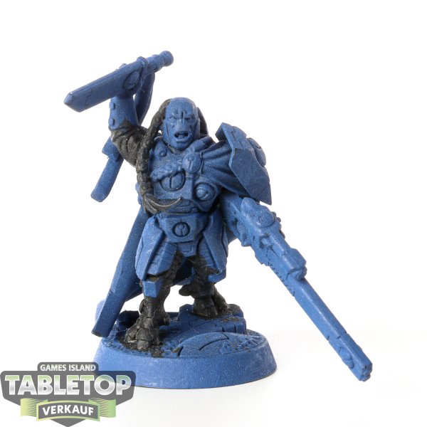 Tau Empire - Cadre Fireblade - teilweise bemalt