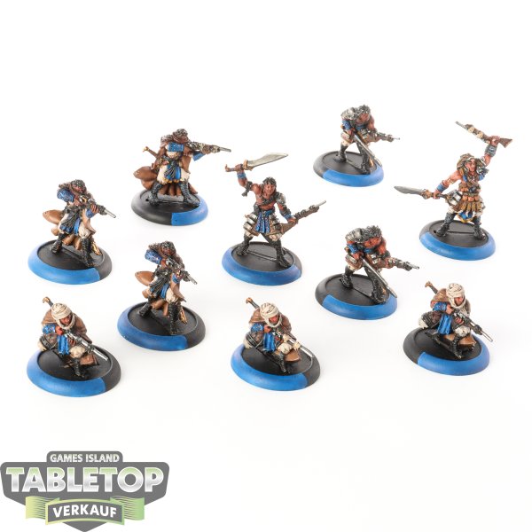 Warmachine - Cygnar - 10 - Idrian Skirmishers - bemalt