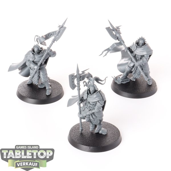 Stormcast Eternals - 3x Praetors - unbemalt