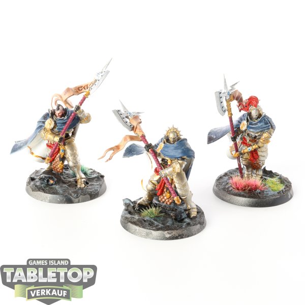 Stormcast Eternals - 3x Praetors - bemalt