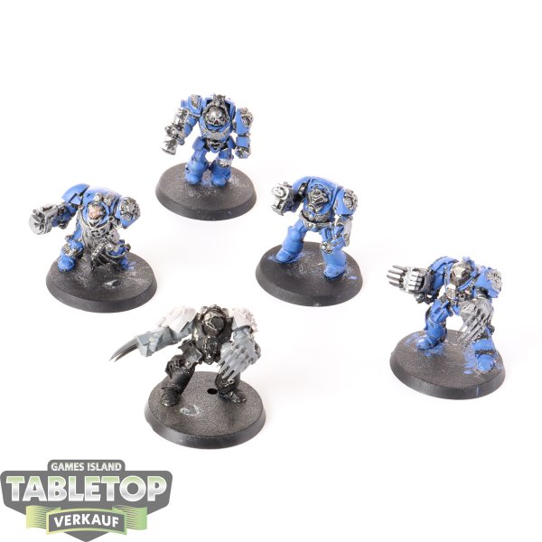 Space Marines - 5x Terminators - klassisch - teilweise bemalt