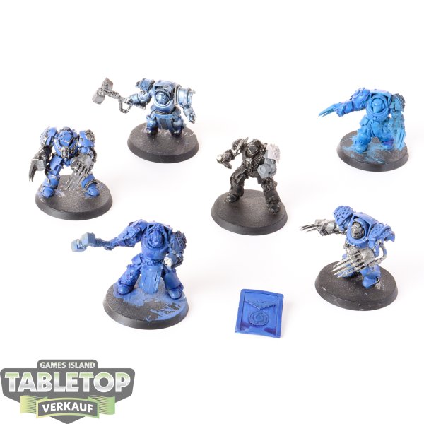 Space Marines - 6x Terminators - klassisch - teilweise bemalt