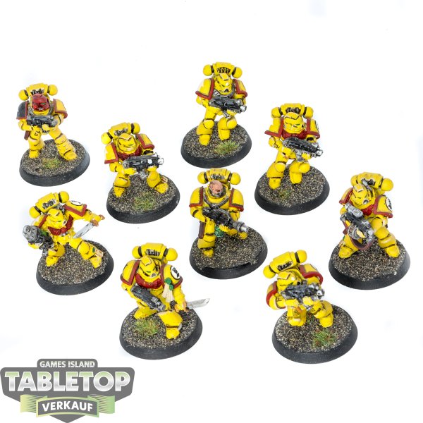 Imperial Fists - 9 Tactical Squad - bemalt