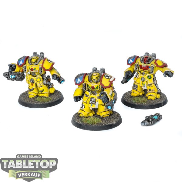 Imperial Fists - 3 Centurion Devastator Squad - bemalt