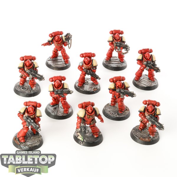 Space Marines - 10 x Primaris Intercessors - bemalt