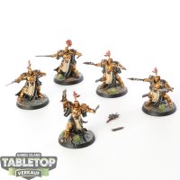 Stormcast Eternals - 5 x Evocators - bemalt