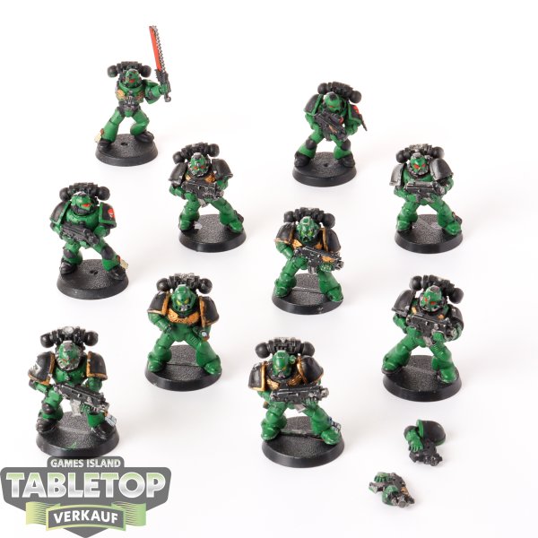 Salamanders - 10 x Tactical Squad klassisch - teilweise bemalt